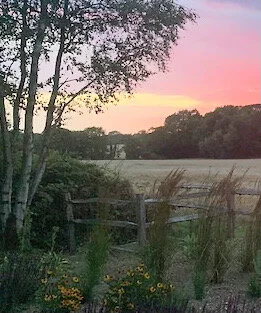 Kent Fields