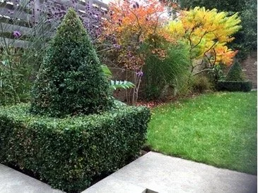 An Elegant Garden