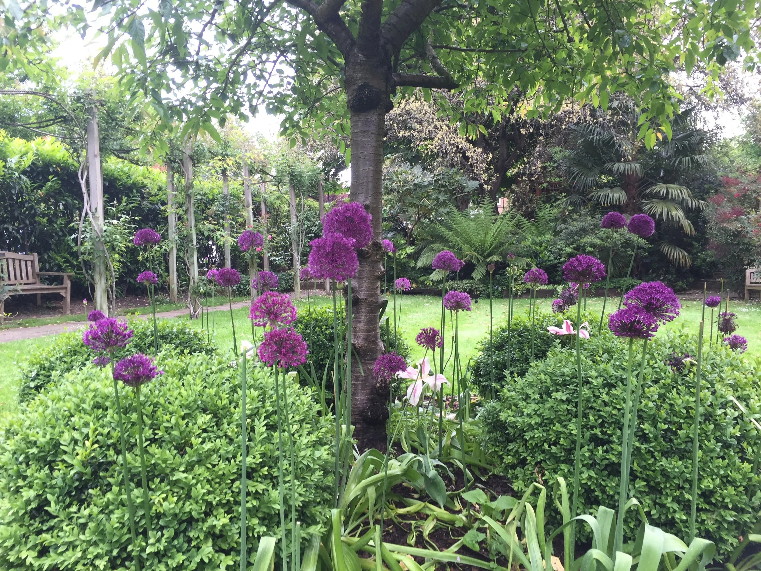 Holland Park garden