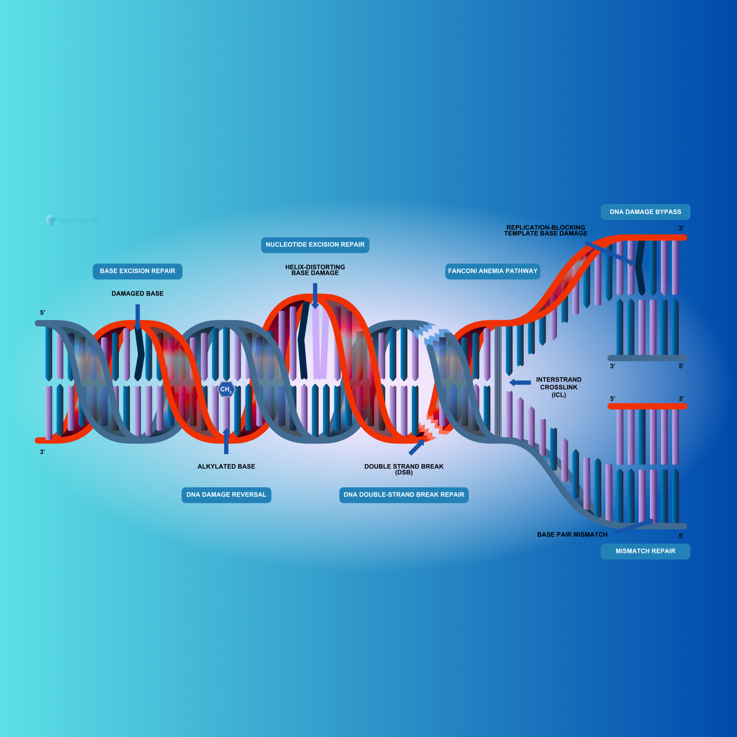 Graphical and Visual Abstracts: Making Research Stand Out