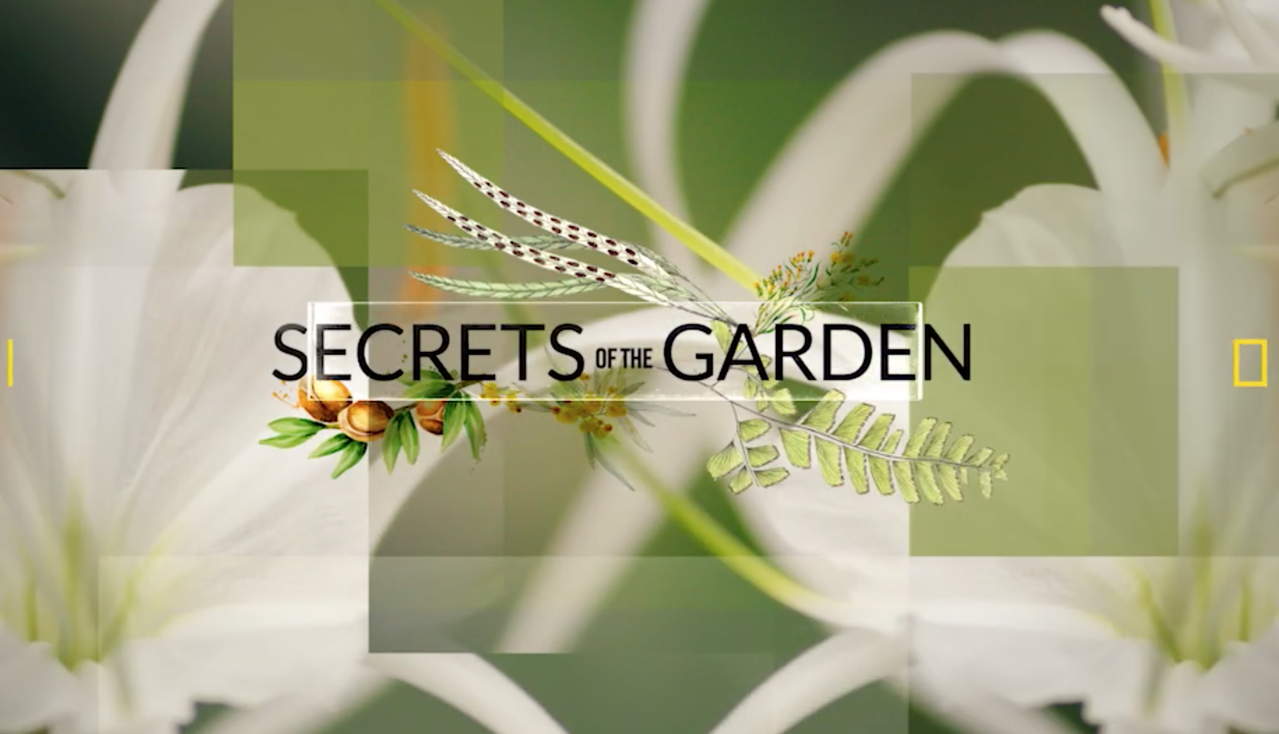 Herbal Essences Secrets of the Garden