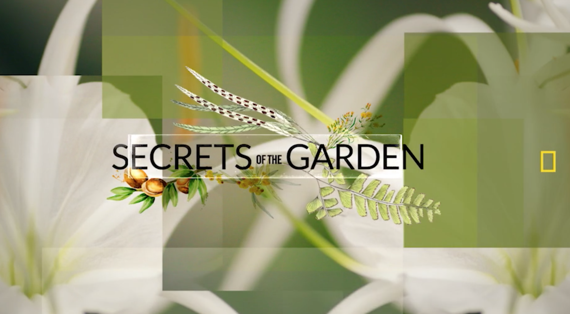 Herbal Essences Secrets of the Garden