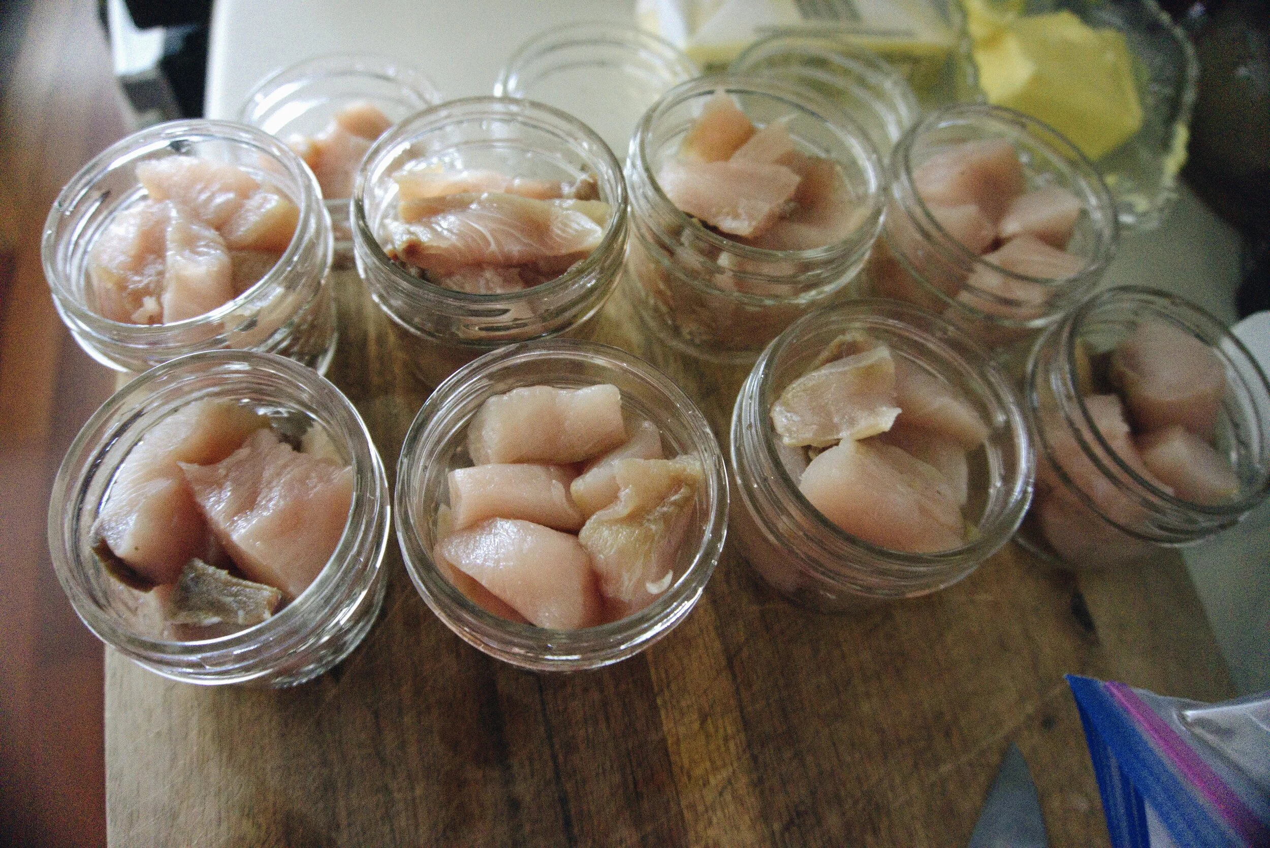 Pressure Canning Tuna The Budding Homemaker