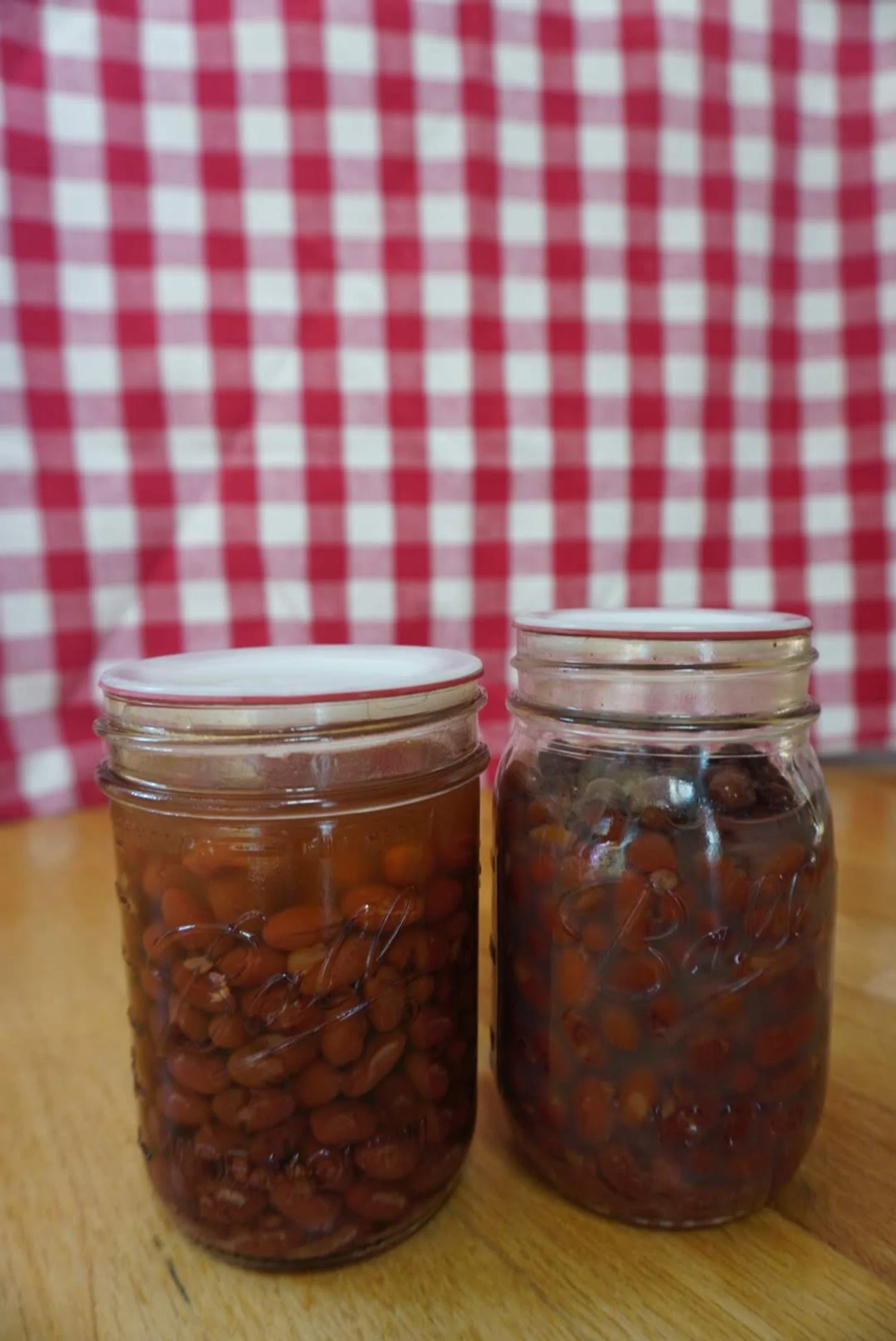 Pressure Canning Dried Beans — The Budding Homemaker