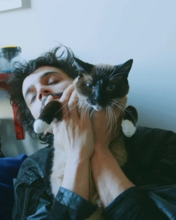 my best bud who&rsquo;s name is bread eno got a respiratory infection and scared the doo doo outta me because he has cat aids and it took 2 weeks to get it out of his system but i&rsquo;m happy to say he&rsquo;s back to nearly peak eno levels now so 