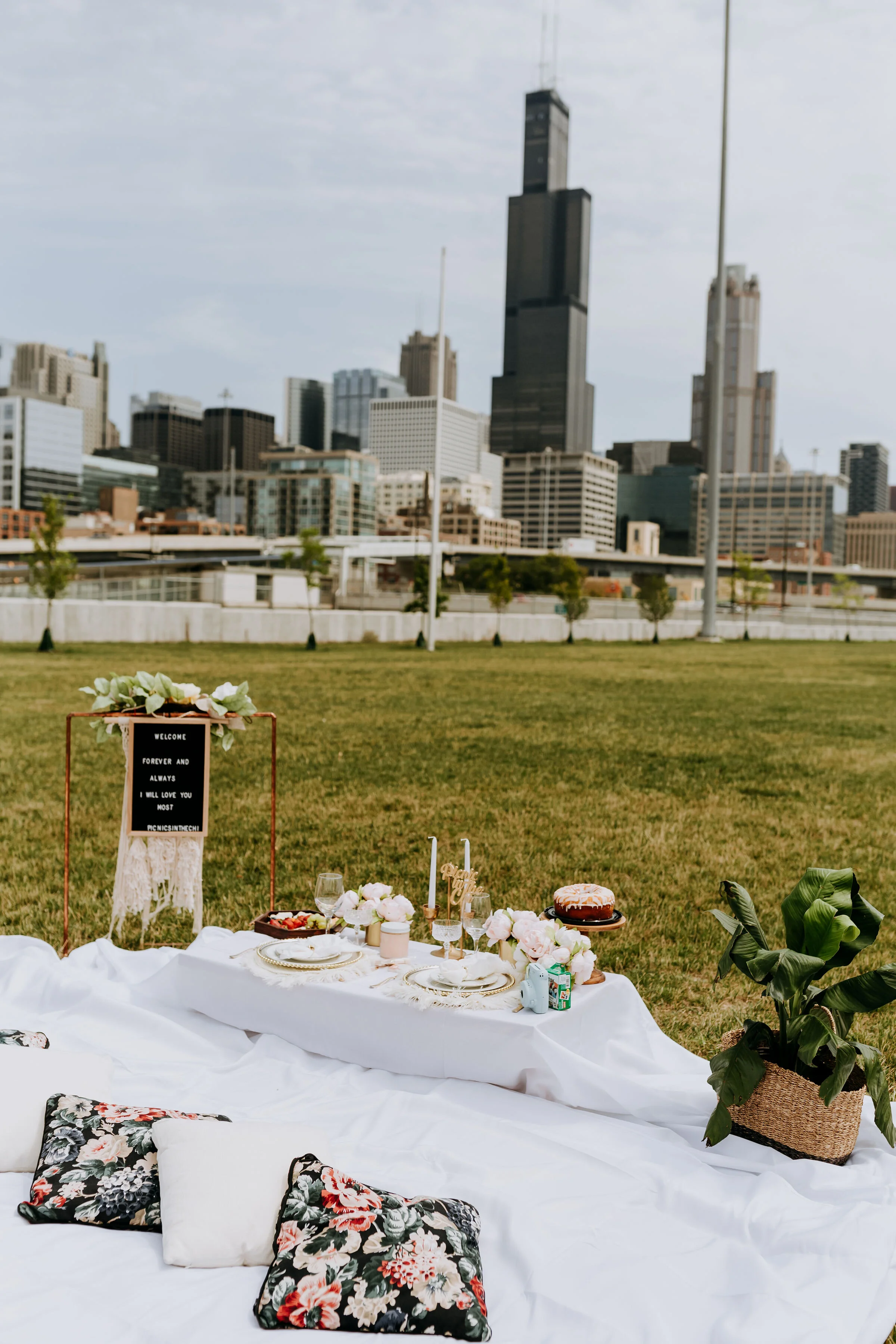 Picnics In The Chi