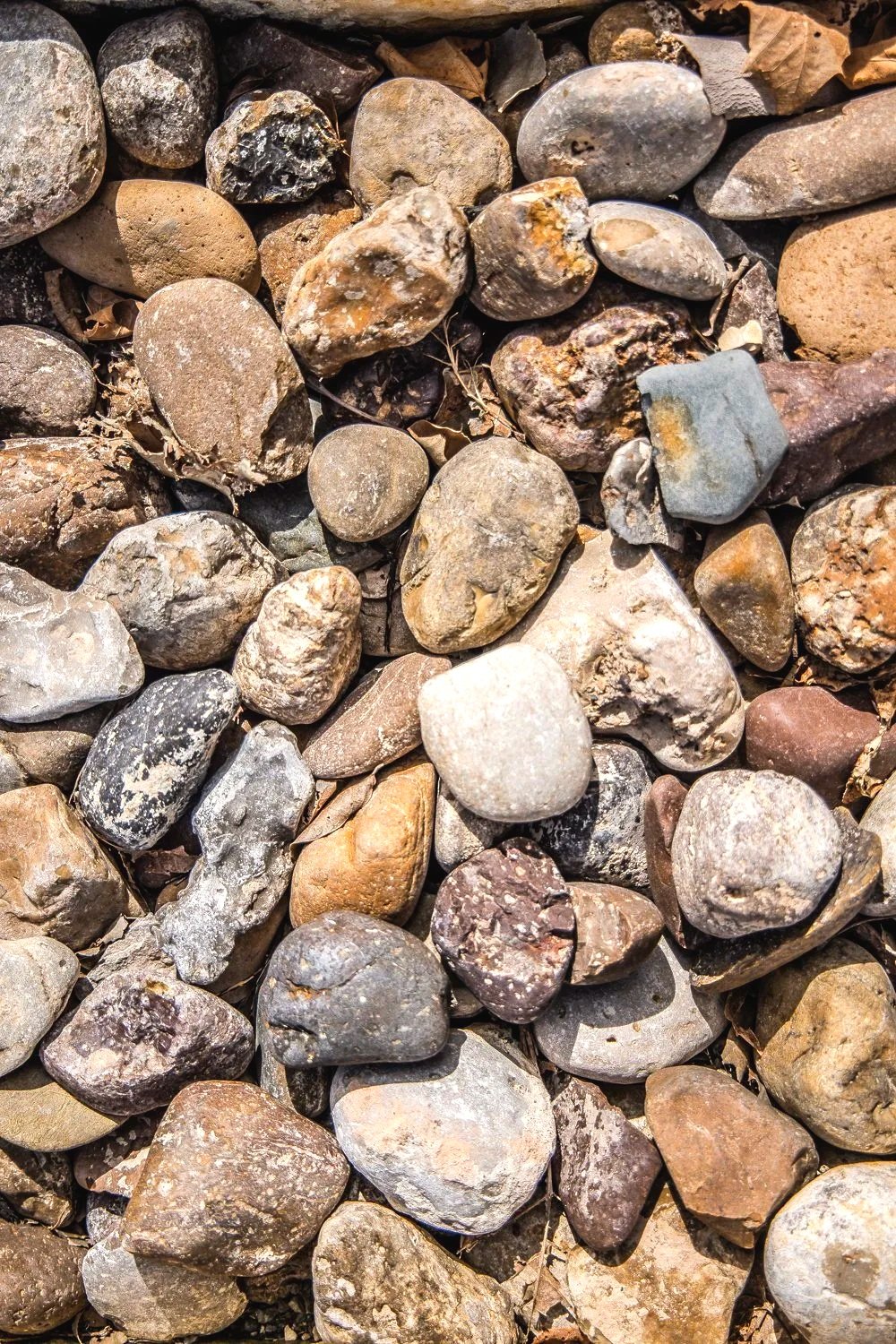 Rock
