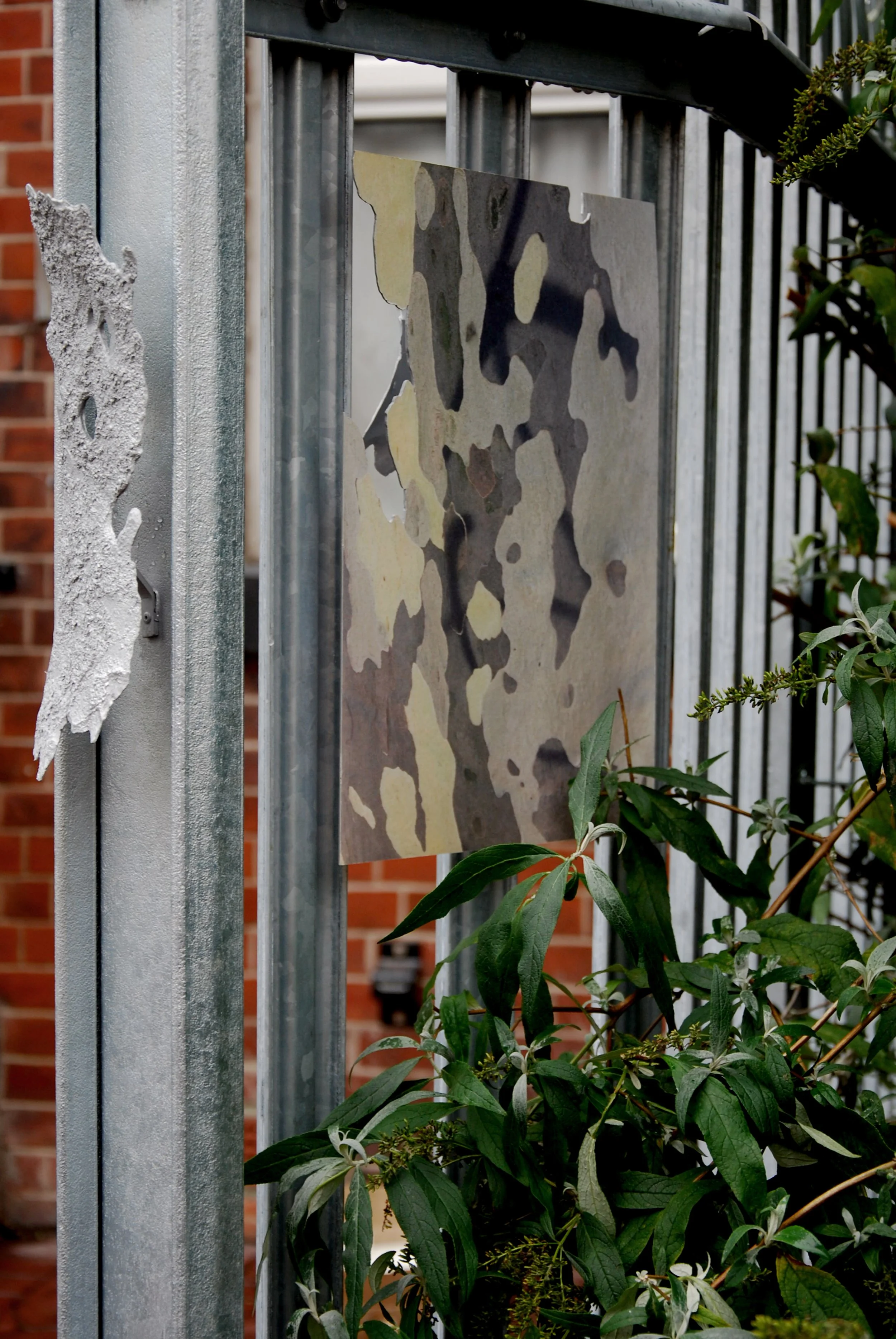 A metal fence with a image of  peeling plane tree bark attached. There are green leaves and plants growing around the fence, with a brick wall in the background.