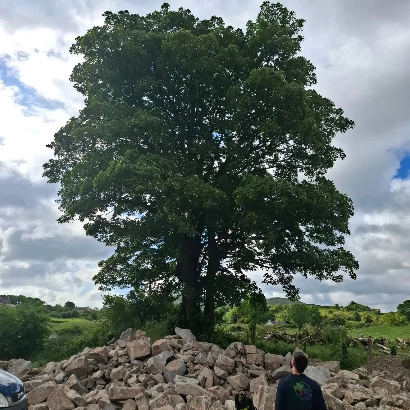 A little reduction on this Sycamore today by myself and Wes.  A fun climb with great views. Didn't anticipate the boulders at the base. Sorry Jack. 😞  #southdowntreecare  #trees  #sycamore