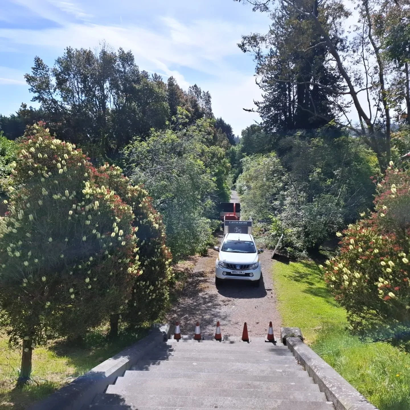 Everything is good when working in the arboretum  #castlewellanforestpark  #southdowntreecare  #trees  #arboretum
