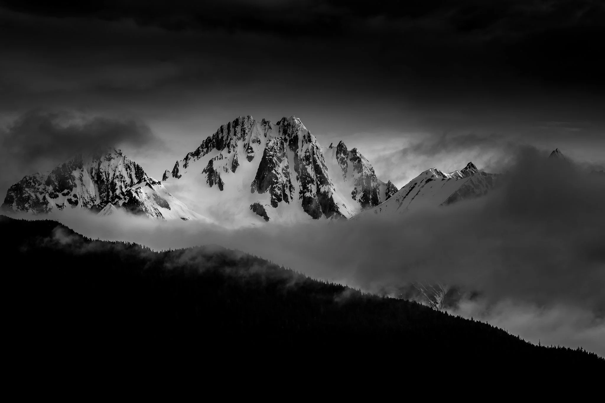 -_DSC5703FB.jpg
