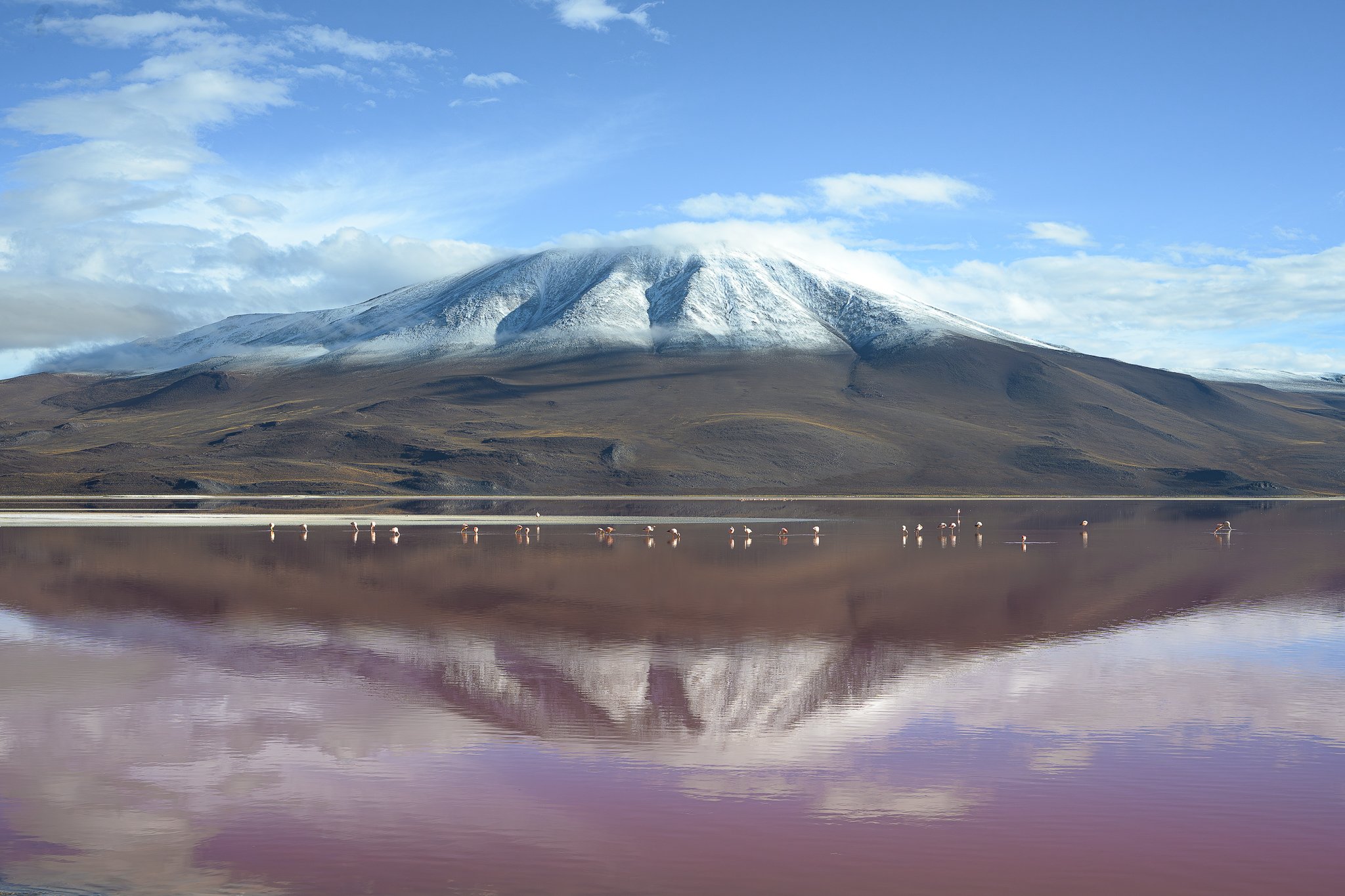 -_DSC0837FB.jpg