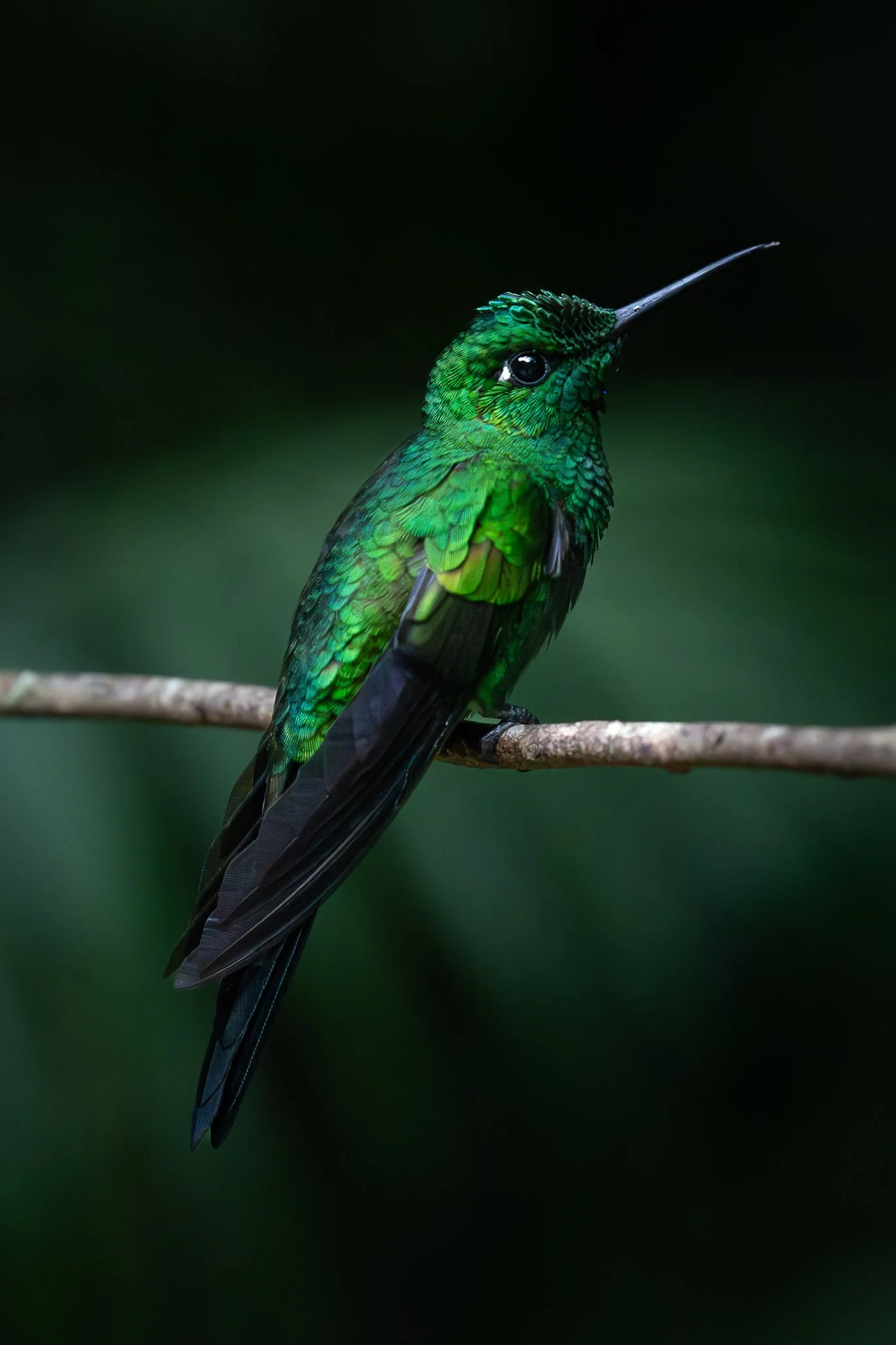 -_DSC4526FB.jpg