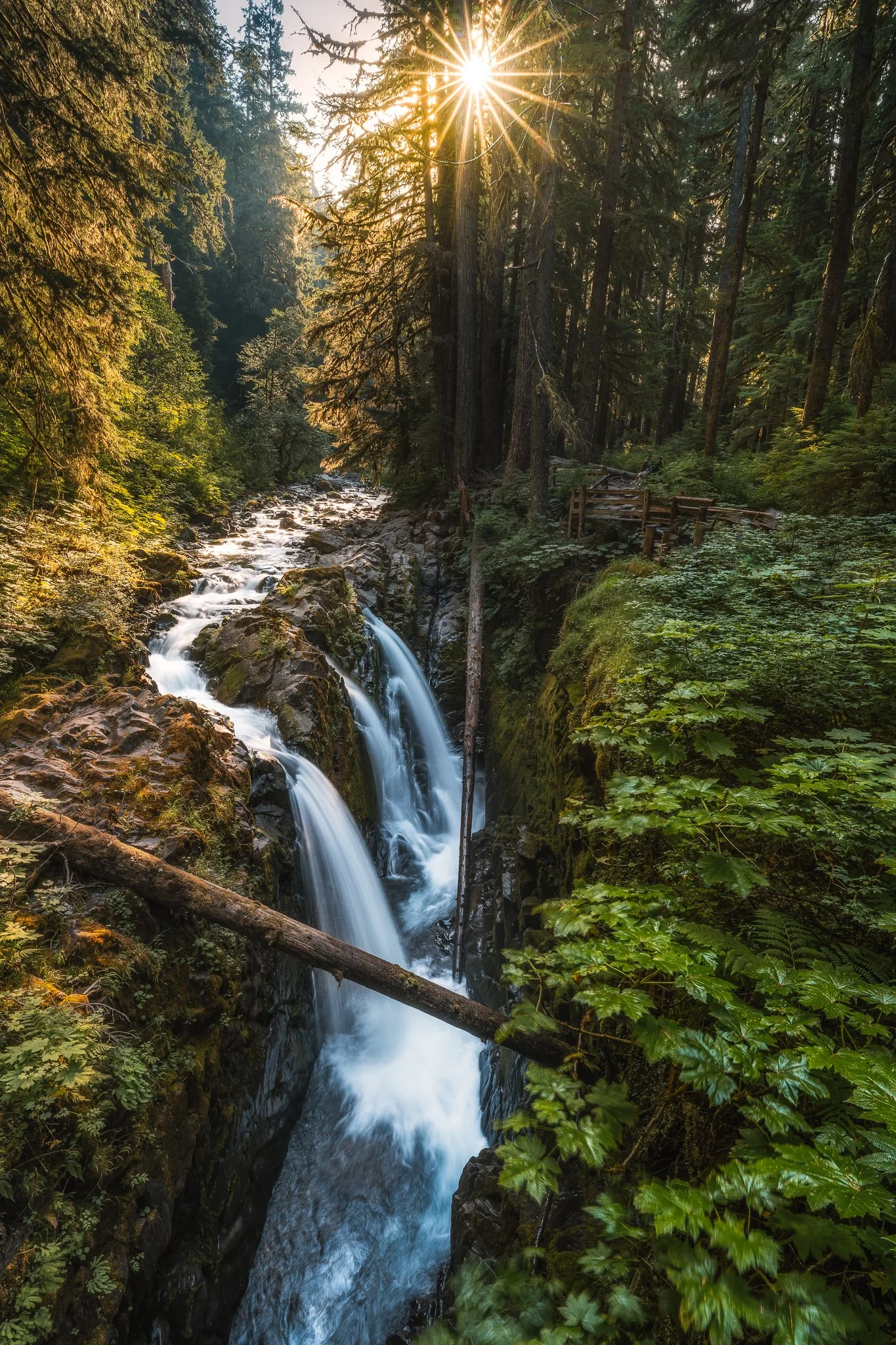 -_DSC9290-Edit-EditFB.jpg