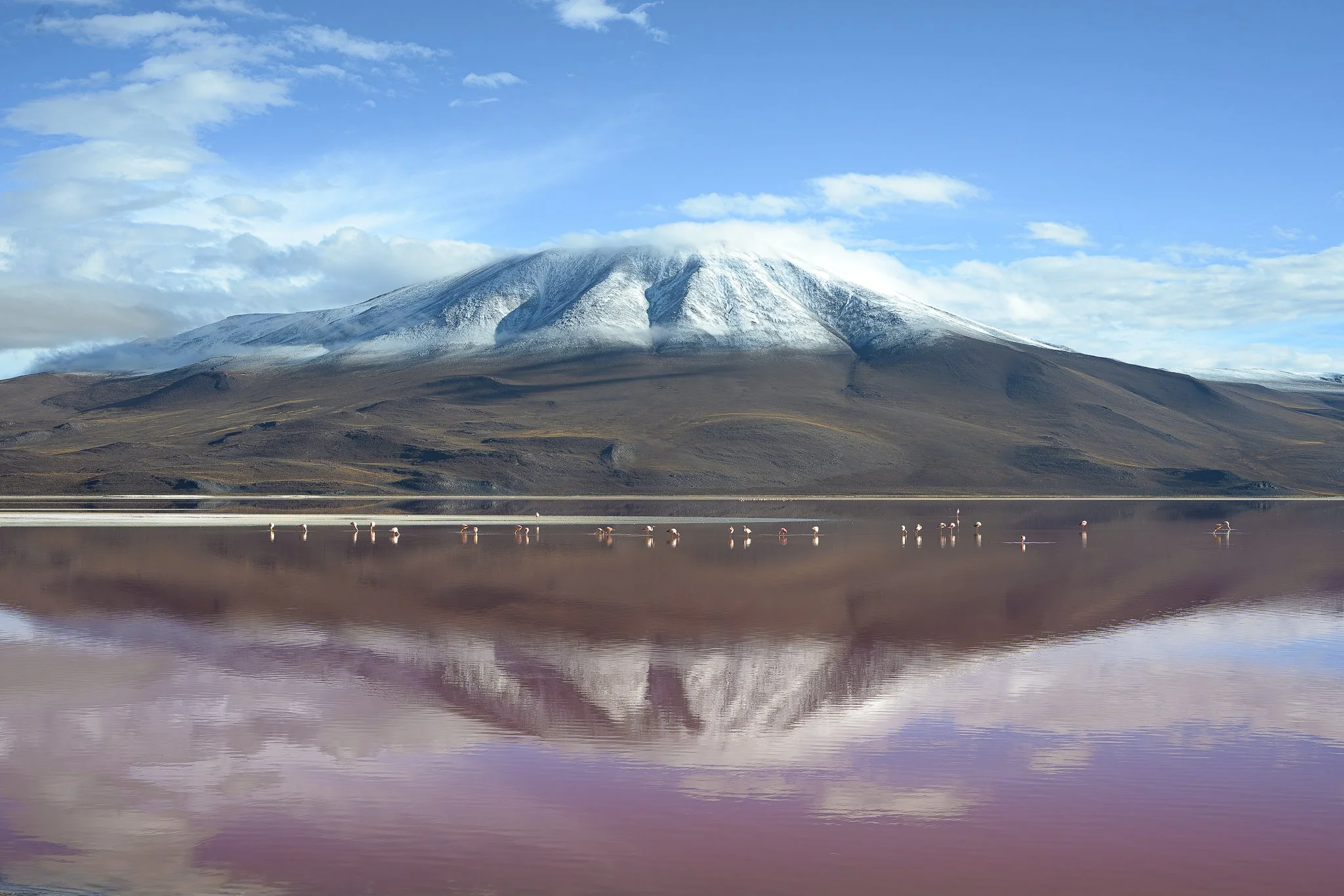 Nicola Williamson - Laguna Colorada.jpg