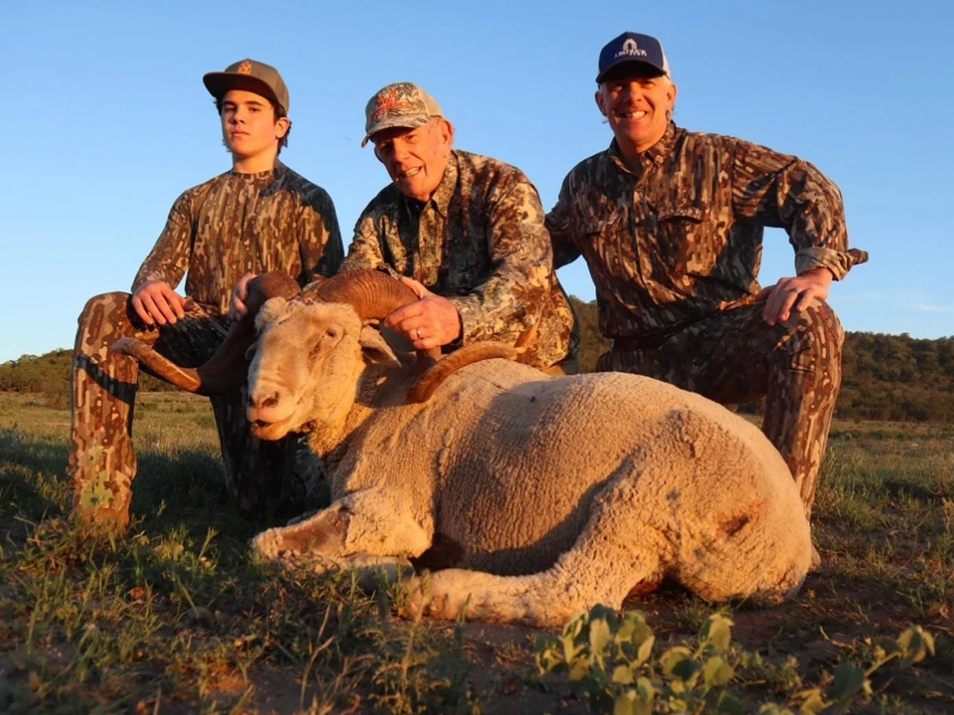 Jones Ranch Rambouillet Rambouillet — RecordBuck Ranch