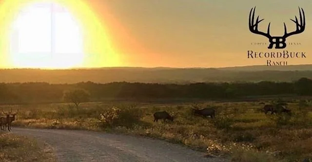 God painted a beautiful sunrise at RecordBuck! Keep checking social media &amp; website for updates! We miss hunting with you all! #staysafe #recordbuckranch #seeyousoon