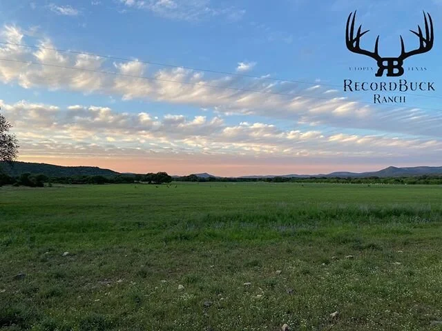 A beautiful day at RecordBuck! Thanks @kellembolton #recordbuckranch #utopia #texas #godspainting