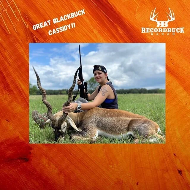 After bagging her axis yesterday, Cassidy was wanting some sort of sheep until she laid her eyes on a blackbuck! Great choice! Beautiful trophy! Congratulations! #girlshunt #blackbuck #recordbuckranch #exotichunts #texashunts