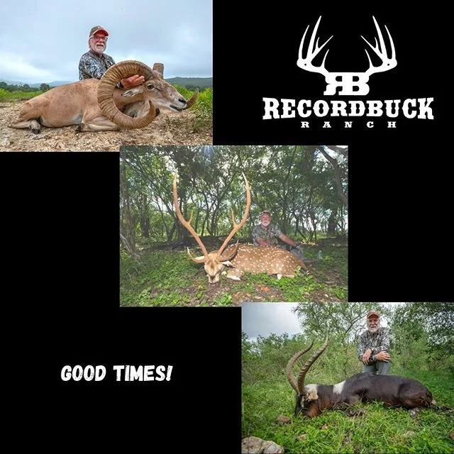 As you can see exotic hunting is in full swing this summer! Great friends, make great hunting! #recordbuckranch #axishunting #nilelechwehunting #peredavidsdeer  #arabianoryx #impala #blackbuck #exotichuntstexas #urialhunts