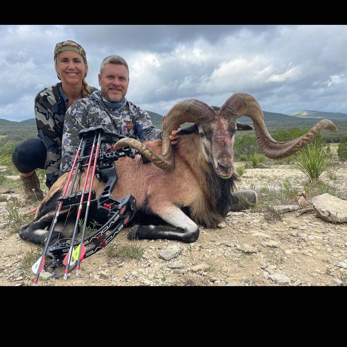 Repeat clients, Matt and Jackie hunted this nice Corsican ram here with us. Always a good time having y&rsquo;all in camp guys! 

Guide - Shaun Catton 

With most antlered animals shed out and starting to grow back, it&rsquo;s the perfect time to hun