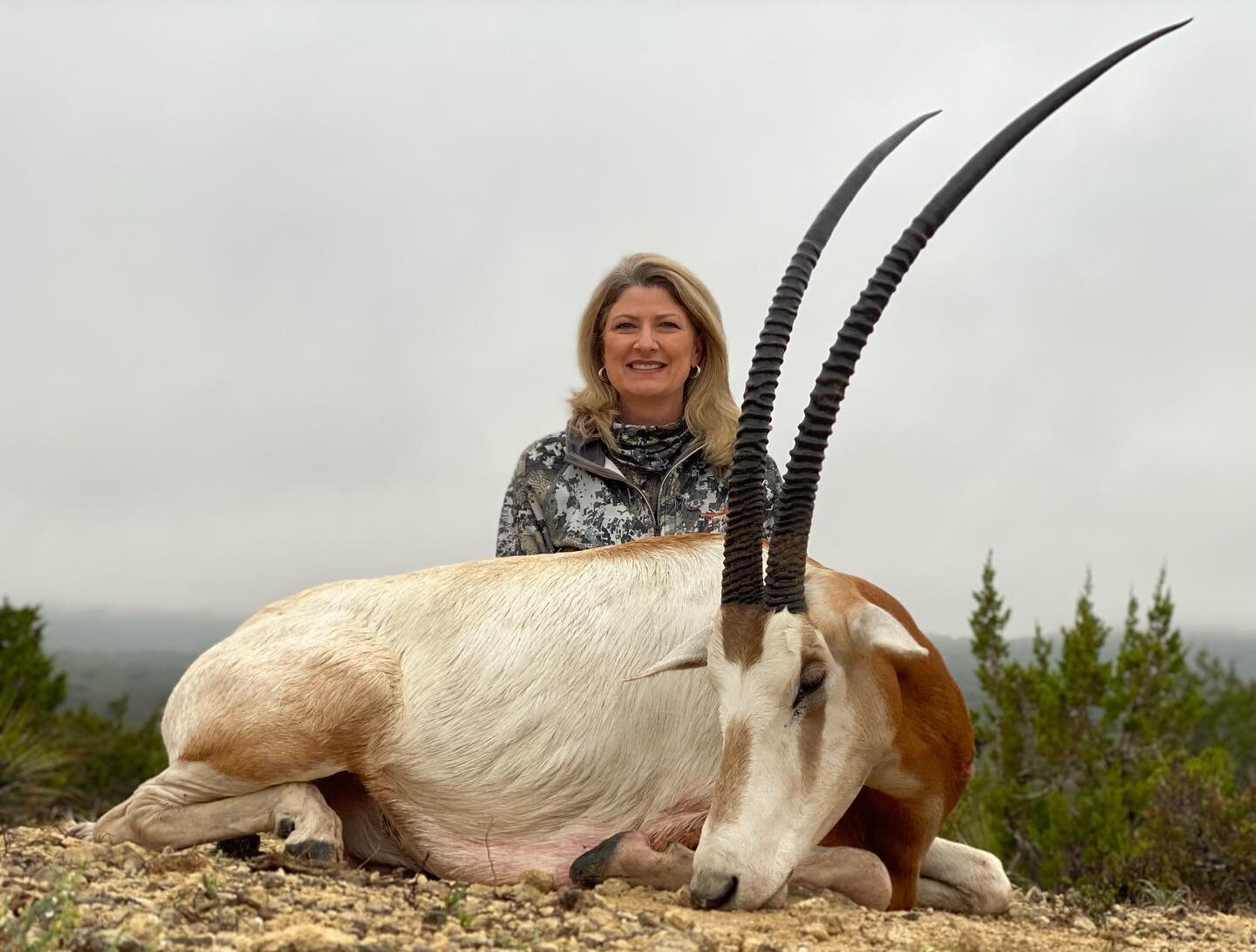What an awesome Scimitar Bull! Mrs. Alldredge hunted with us on a She Hunt Skill Camp ! Enjoy your awesome trophy and delicious cuisine. 

Guide - Ethan Cook 

If you want to hunt Scimitar or one of the 50 + species here, give us a shout. We would lo