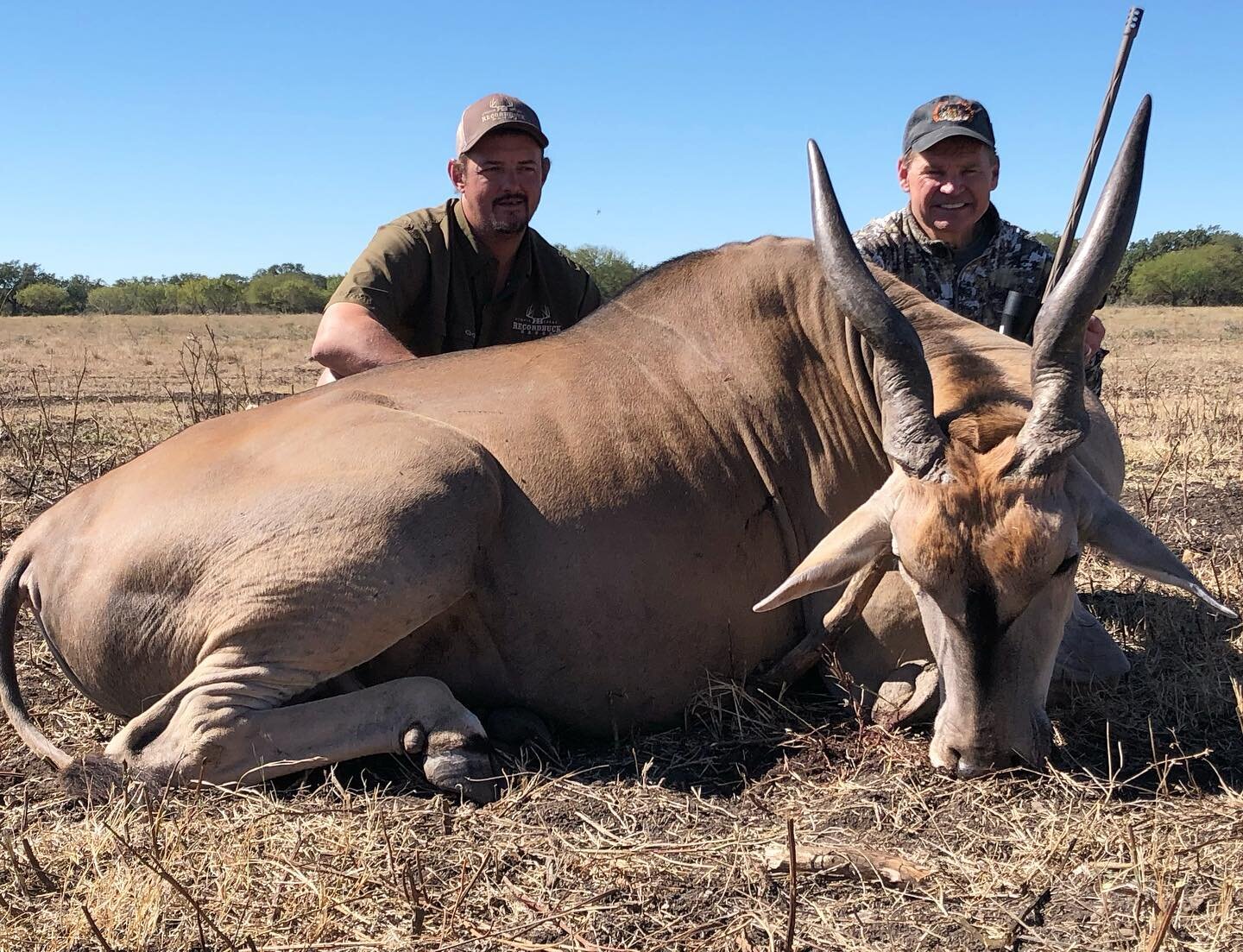 Big eland bull down! Congrats to Mr. Gordon on this impressive animals. Gordon placed an impressive on shot, over 400 yards! Enjoy your gorgeous mount and delicious meat! 

Guide - Shaun Catton 

If you would like an eland bull or one of the 55 plus 