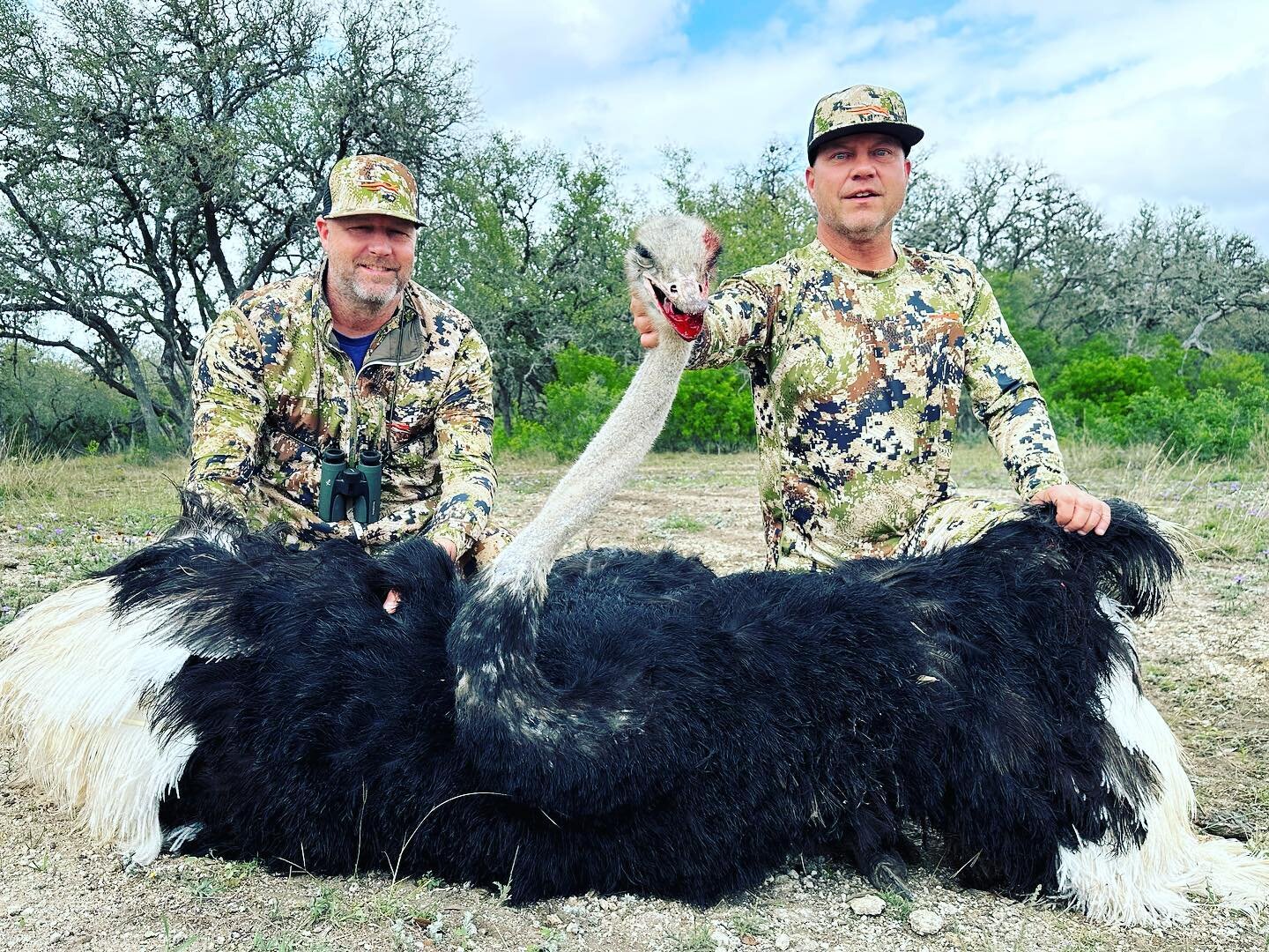 What started as a Turkey hunt, ended as an ostrich hunt! Congrats to out good friend Chris Morgan on his awesome bird! 

Guide - Kellem Bolton

If you would like a big ostrich or one of the other 55 + species we have let us know! We would love to hun