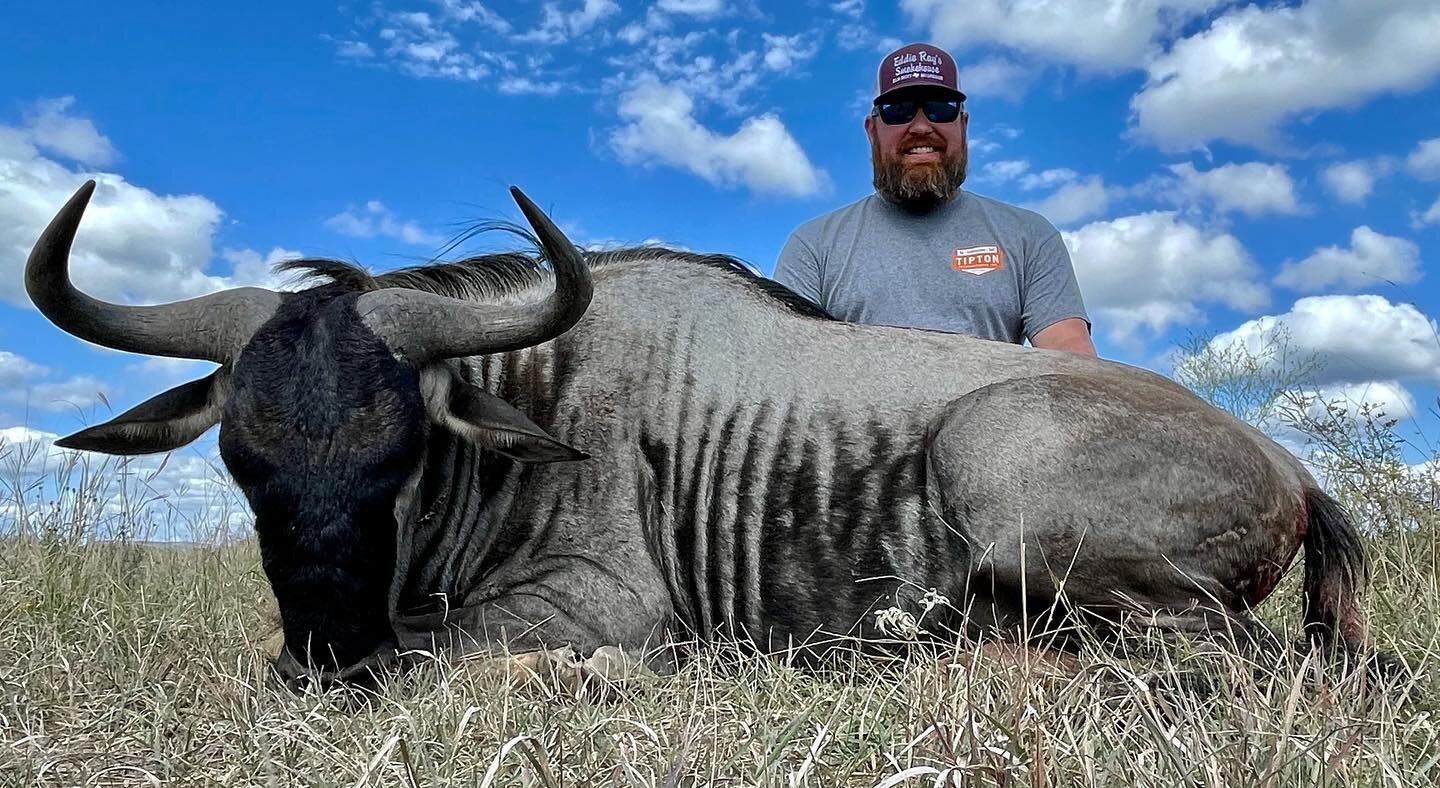 Mr. Matt Walker hunted this nice white bearded Wildebeest with us here at the buck! Many people dont know, but these animals are incredibly delicious! Huge congrats on your awesome trophy and delicious meat! 

Guide - Shaun Catton

If you want to hun