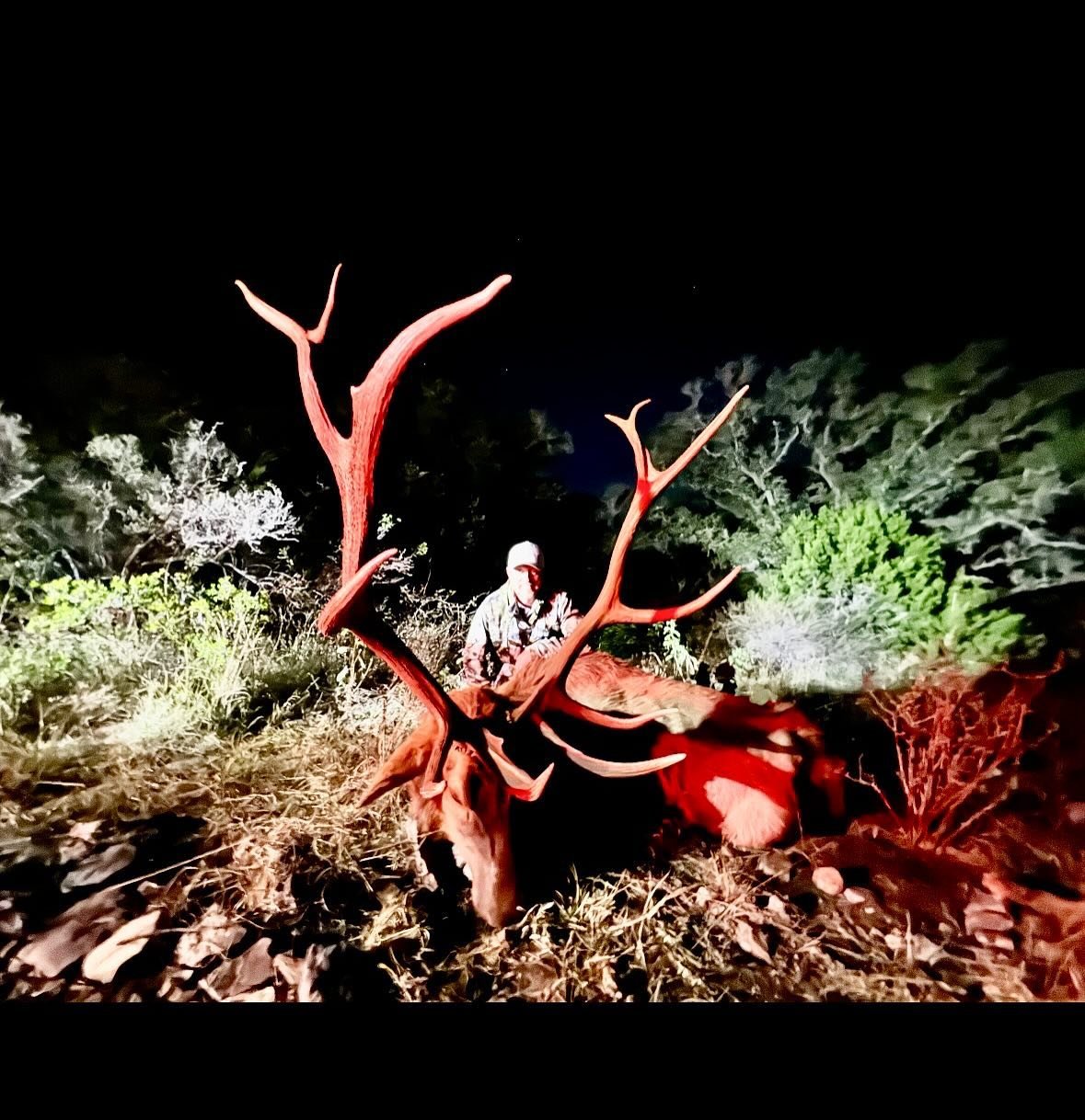 Another good hunt in the books with Daily Limit outfitters. Thanks for choosing Recordbuck ranch as your premier hunting destination! 

If you would life the opportunity to hunt one of the 60+ species we have, let us know! We would love to guide you 