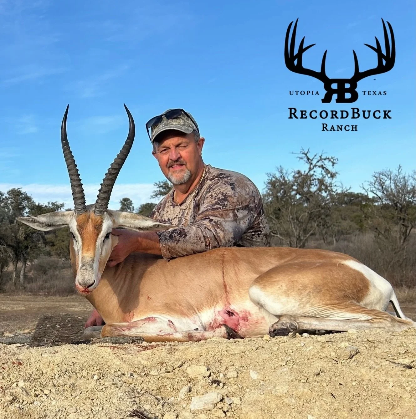 What a one of a kind animal, a beautiful cross between a Dama Gazelle and a Grant&rsquo;s Gazelle. Nature never stops amazing us!

Guide: Shaun Catton

Now is the perfect time to start planning your next trophy hunt. Contact us today and let&rsquo;s 