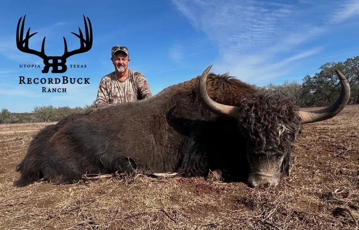 Big Yak down for Mr. Andy! A freezer full of great meat and an awesome trophy for the wall, hunts like this are what it&rsquo;s all about!

Guide- Shuan Catton

Been dreaming about your next hunt? Reach out today and let&rsquo;s make it one for the b