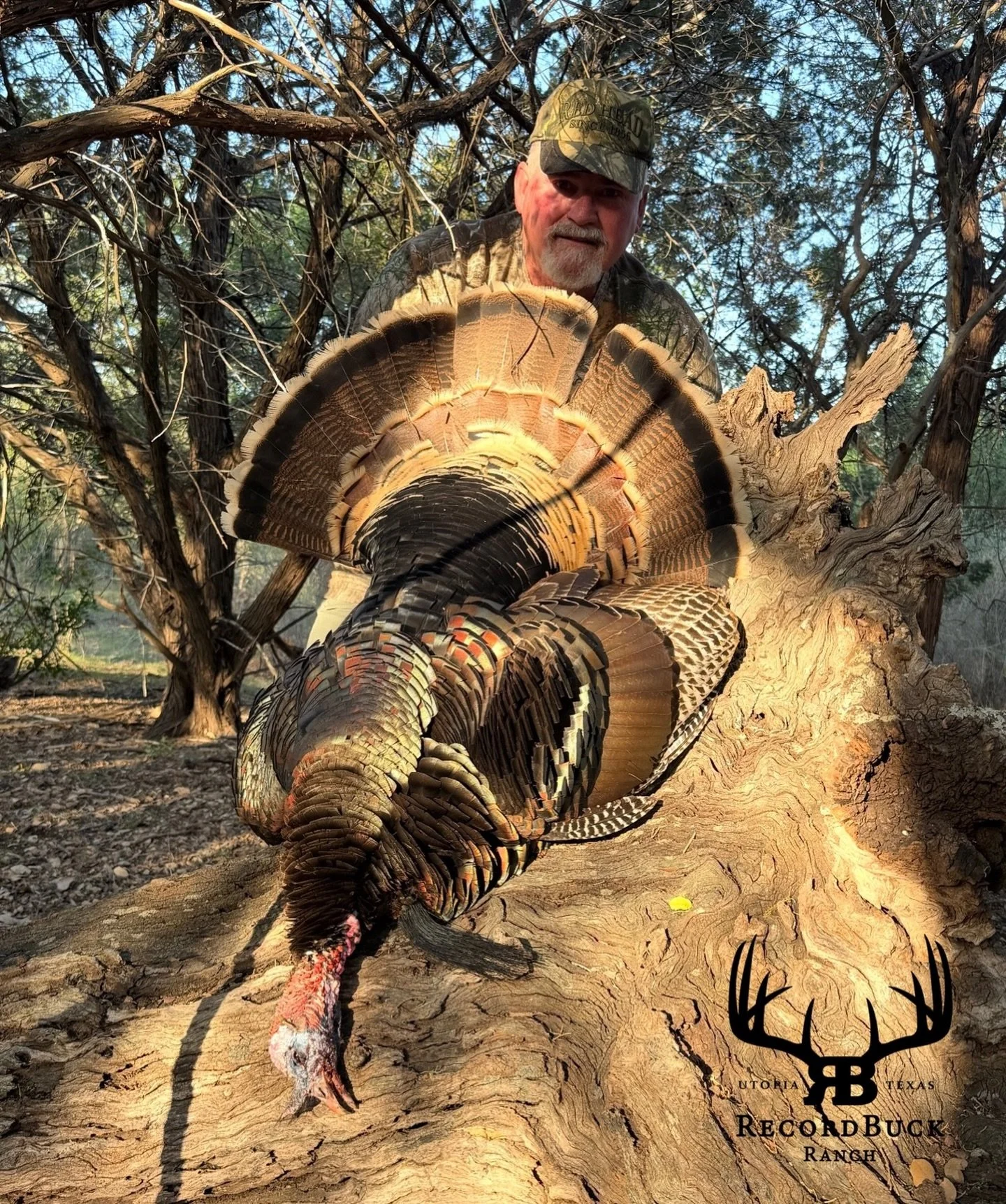 Turkey season is here and the longbeards are paying the price! Big birds have been hitting the ground and the action is just getting started!

Guide: Jeff Copeland

Don&rsquo;t just dream about it, book your next hunt today and make memories that las