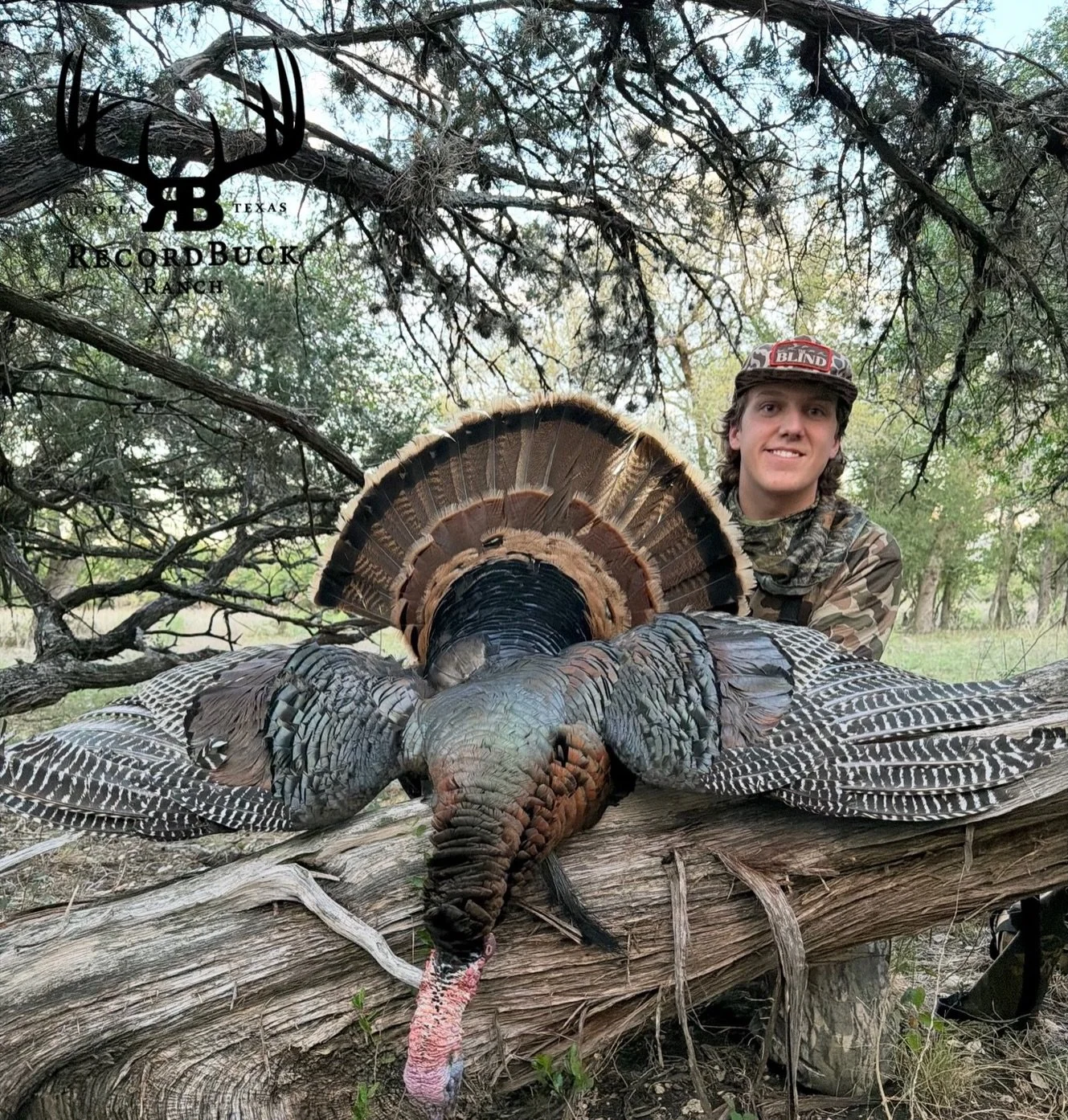 Green grass and big toms! Turkey season is in full swing and these birds aren&rsquo;t slowing down anytime soon!

Guide: Marco Carrizales 

Ready to turn that dream hunt into reality? Contact us today and let&rsquo;s make your next trophy adventure o
