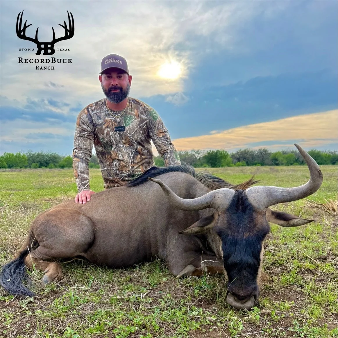 You never know what kind of bull is going to show up out here! This one sure didn&rsquo;t disappoint! Another great memory made in the field!

Guide: Ryan King

Ready to turn that dream hunt into reality? Contact us today and let&rsquo;s make your ne