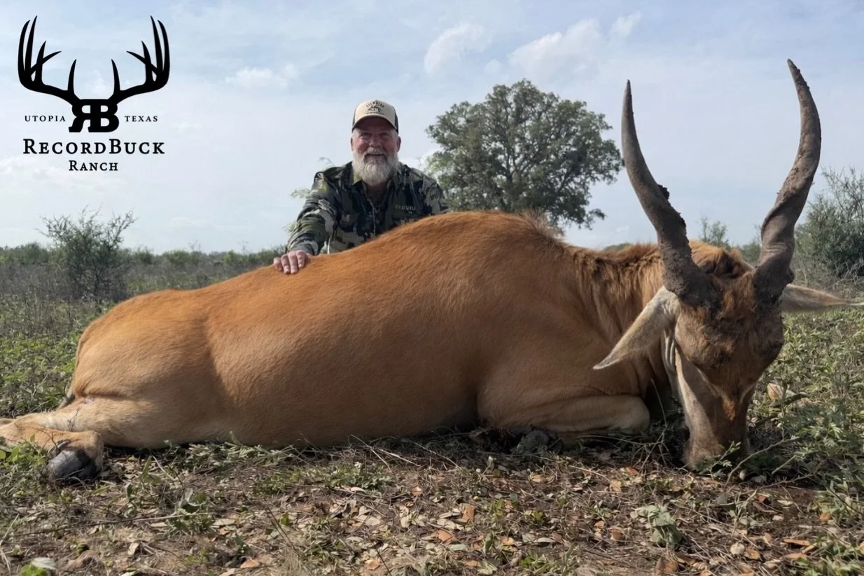 Big Eland bull hits the ground for another happy hunter! Hard to beat this hunt and even harder to beat the meat!

Guide: Riley Taylor

Ready to turn that dream hunt into reality? Contact us today and let&rsquo;s make your next trophy adventure one t