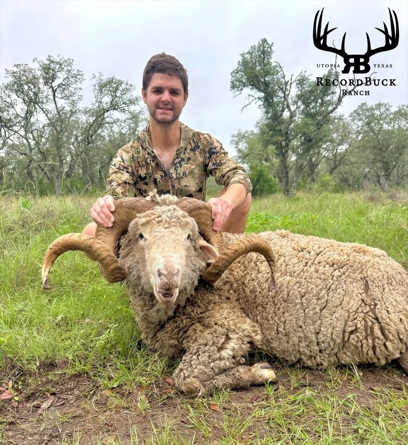 Big Rambouillet ram heading home with this happy hunter! Summer may be here, but the exotics are still hitting the ground around here! 

Guide: Ryan King

Ready to turn that dream hunt into reality? Contact us today and let&rsquo;s make your next tro