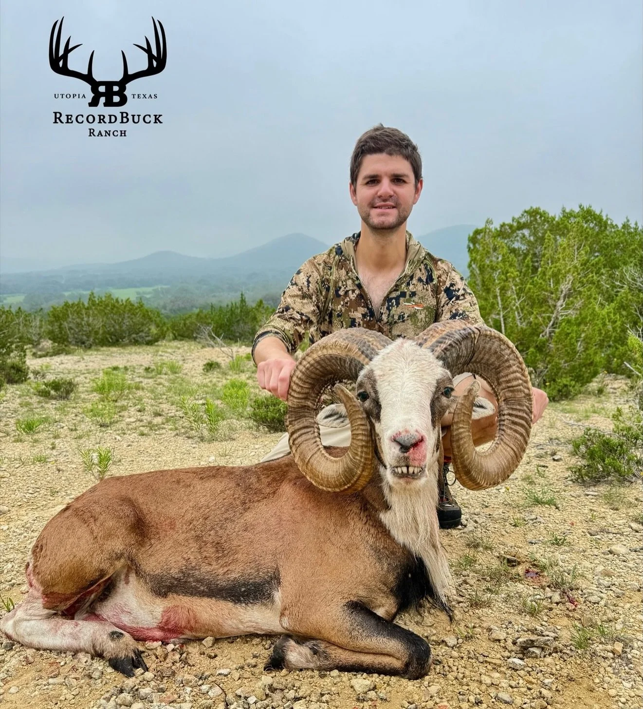 Another awesome hunt wrapped up at Recordbuck Ranch! This beautiful Painted Urial is headed home with one proud hunter!

Guide: Ryan King

Ready to turn that dream hunt into reality? Contact us today and let&rsquo;s make your next trophy adventure on