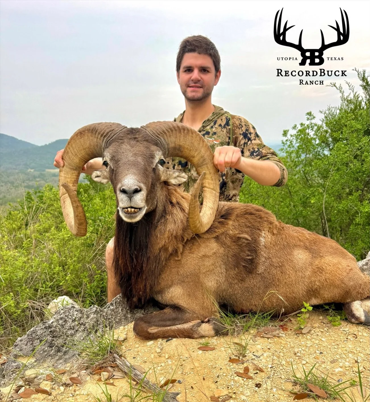 The streak continues! Another big red sheep hits the ground for one happy hunter out here at Recordbuck Ranch!

Guide: Ryan King

Ready to turn that dream hunt into reality? Contact us today and let&rsquo;s make your next trophy adventure one to reme