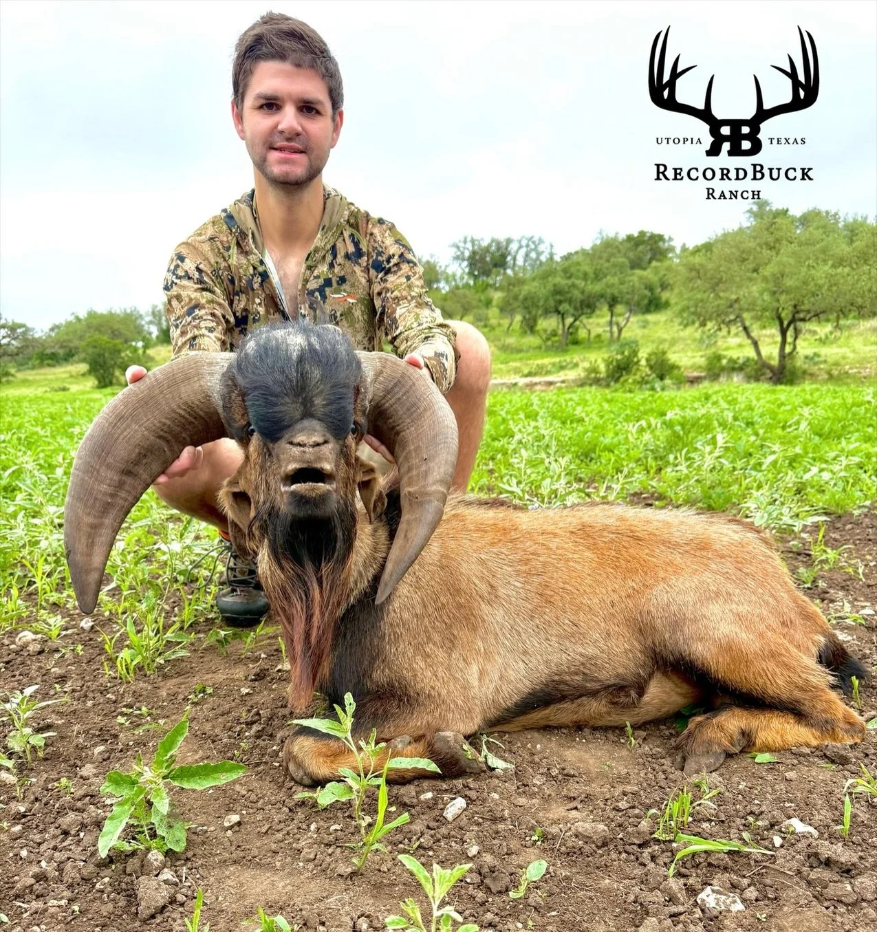 Cordova billy down for one happy hunter! It&rsquo;s always a blast getting folks out here in camp and making it happen!

Guide: Ryan King

Ready to turn that dream hunt into reality? Contact us today and let&rsquo;s make your next trophy adventure on