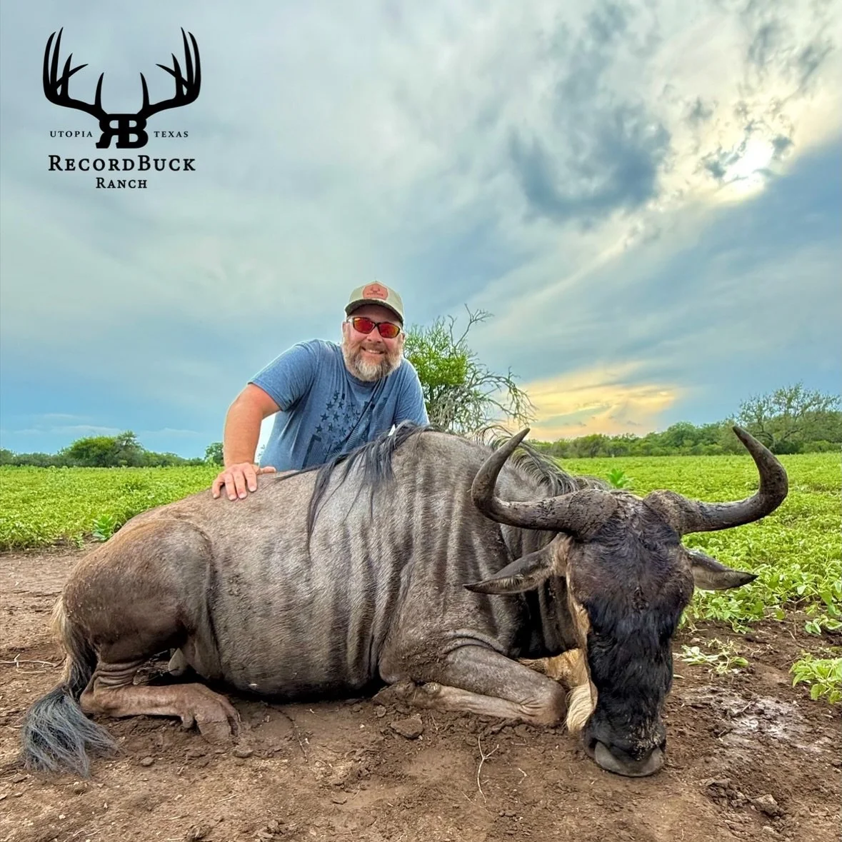 Good rains, green pastures, and great hunting it&rsquo;s hard to beat that combination! Congratulations to this happy hunter on taking a fantastic wildebeest bull!

Guide: Ryan King

Ready to turn that dream hunt into reality? Contact us today and le
