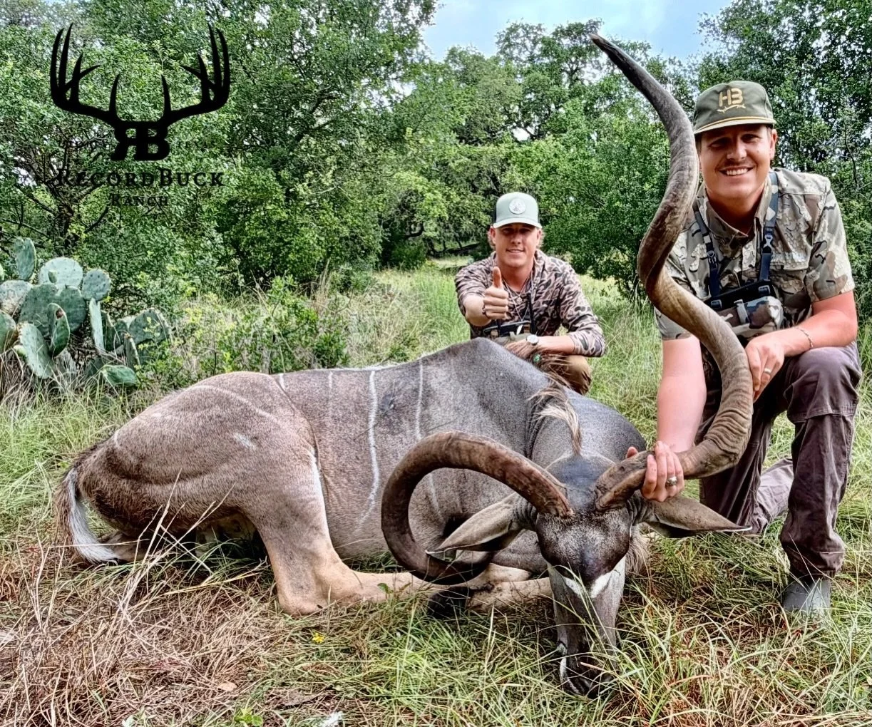 A Kudu bull of this caliber doesn&rsquo;t come around every day! Congratulations to Kolter on an outstanding trophy and a hunt to remember!

Guide: Kellem Bolton

Ready to turn that dream hunt into reality? Contact us today and let&rsquo;s make your 