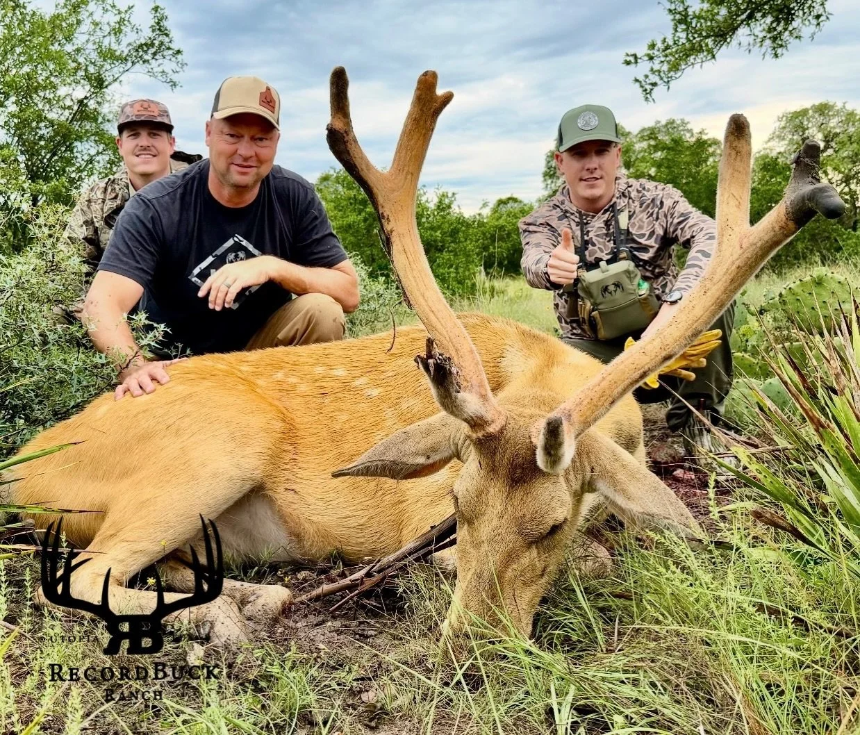 Springtime and Barasingha hunting go hand in hand! Congratulations to this hunter on a beautiful bull and an unforgettable experience at Recordbuck Ranch!

Guide: Kellem Bolton

Ready to turn that dream hunt into reality? Contact us today and let&rsq