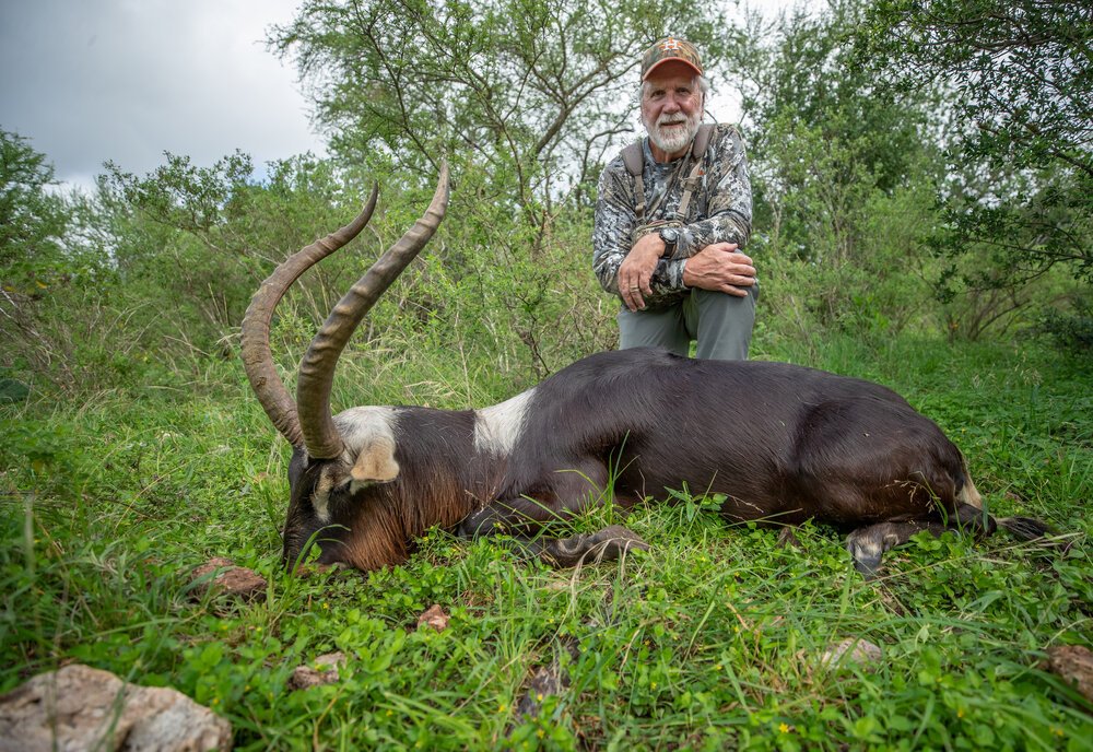Nile Lechwe.jpg