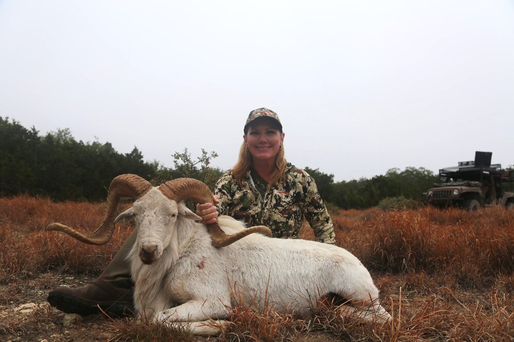 Texas Dall (3).jpg