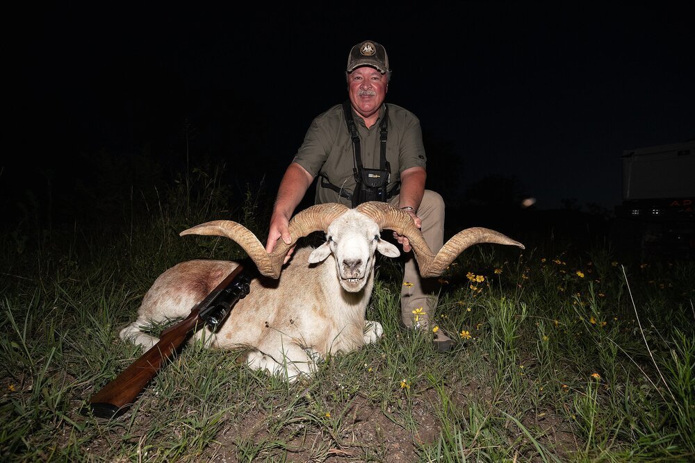Texas Dall.jpg