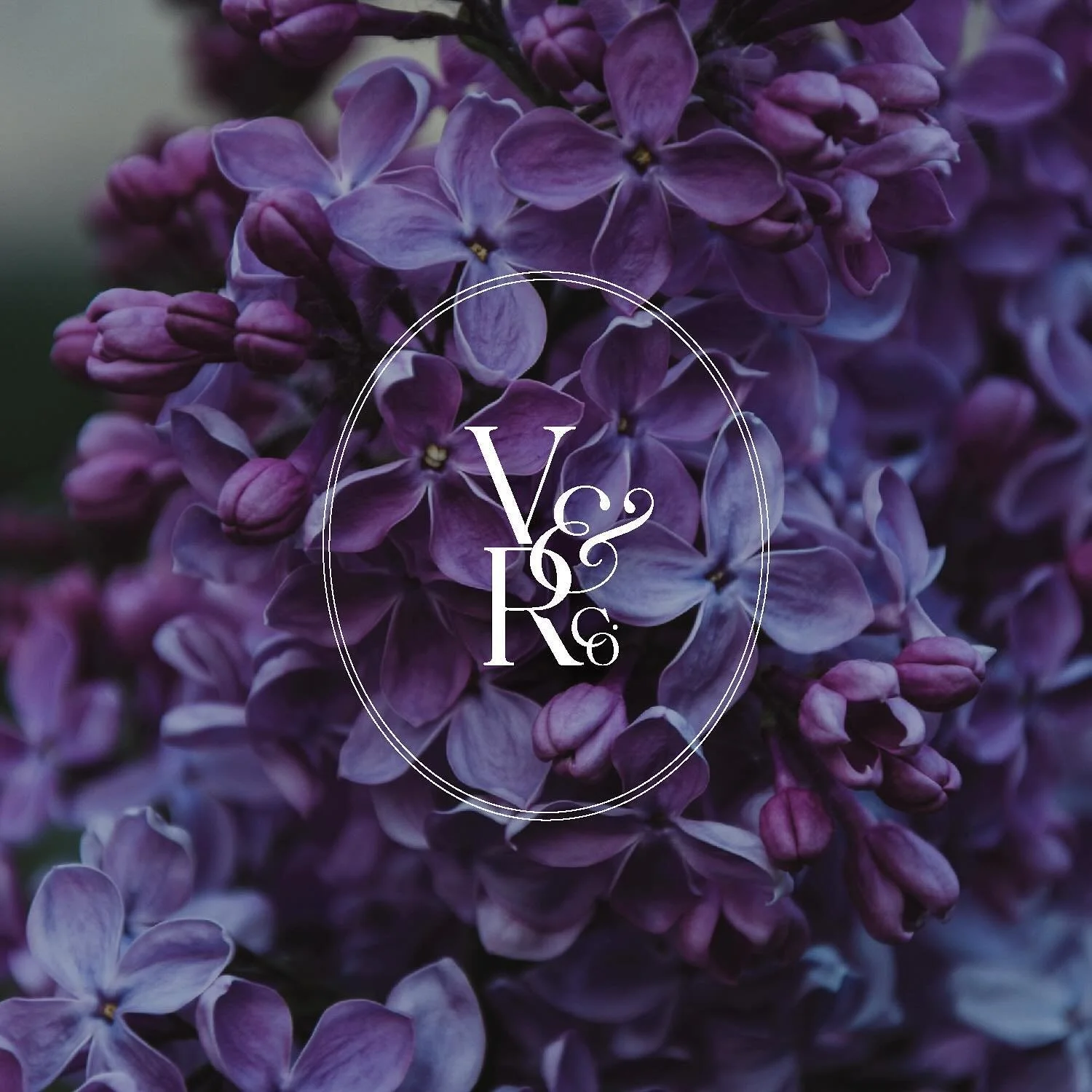 For 2024, I vowed to post more of my work so let&rsquo;s kick this off with the grande dame of prop styling @verryrobin_co &lsquo;s newly refreshed branding for her photography &amp; brand stylist biz &mdash;&gt; Verry Robin &amp; Co. 💜