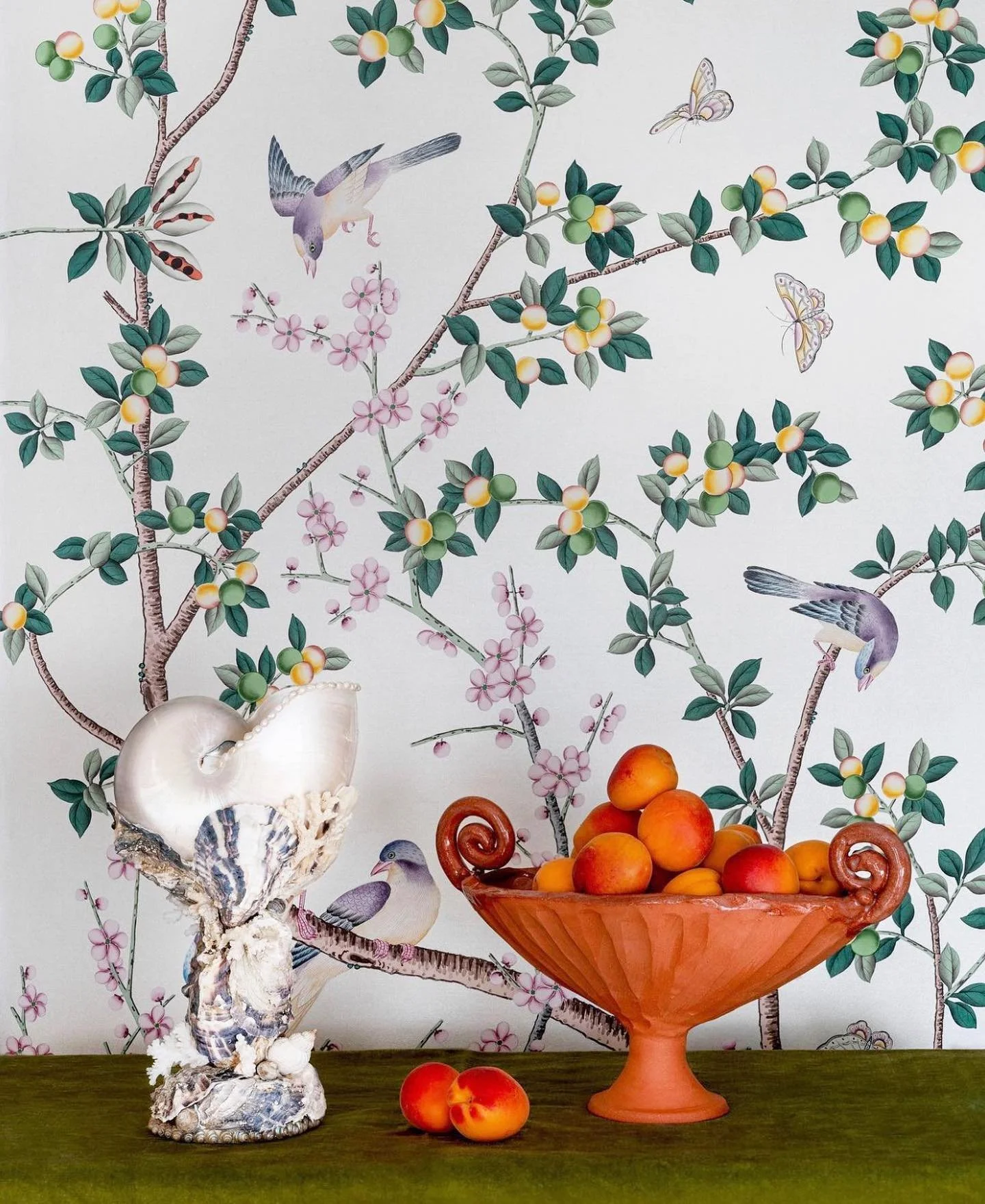 Monday still by @tess_morley  x  @francespalmer  x  @degournay 🕊️🍑🐚