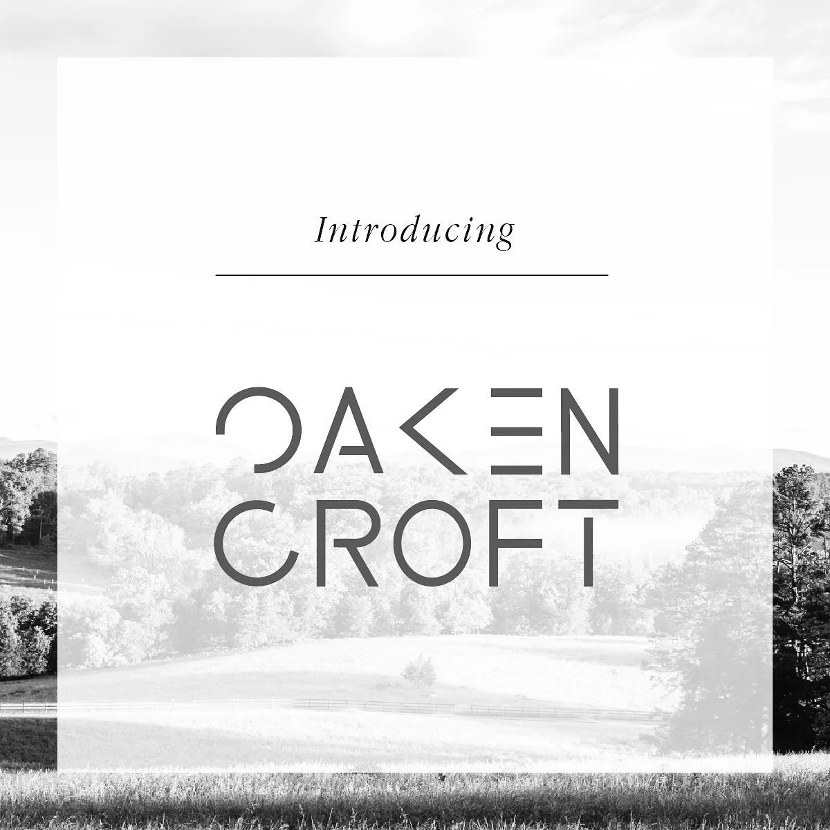 I started branding @oakencroftwinery in 2020 and tomorrow it officially opens for business! ✨ This place is beyond special to say the least. Oakencroft farm is working to become a carbon sink model for farms in our region. Working within a regenerati