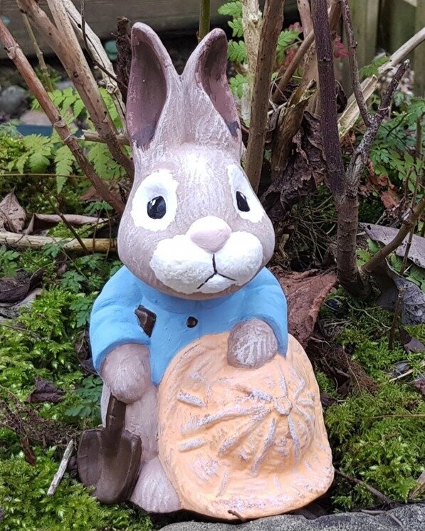 Easter Holiday Fun!
There is still a week left to join in with our FREE Bunny Hunt. (until Sunday April 14th)
Find all the bunnies (in picture form) hidden round the garden centre, write down their names, then take your sheet to the till points to cl